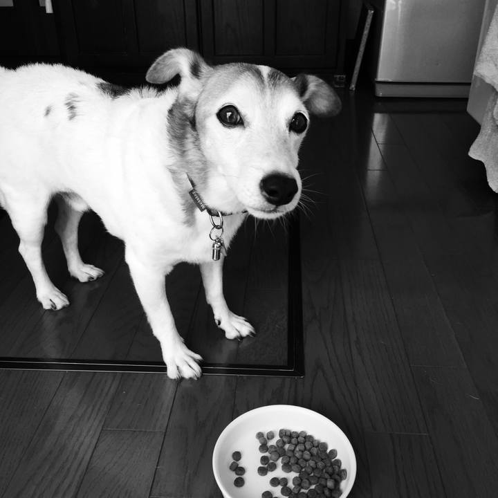 6b4fd7e3 098b 4b05 8e3c bd75d9b2d597