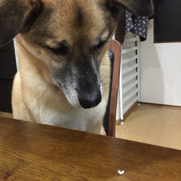 6b5015e9 415d 4f40 8c0c 74261d4f7f3a