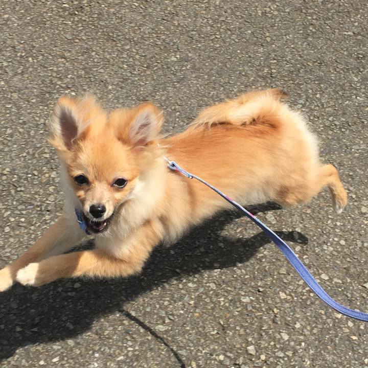 6b502c76 39ee 4bb3 8f9f 70fb2a491984