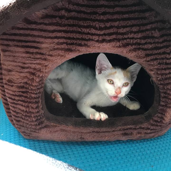 6b504f5a 1bfe 4f61 8d09 4bef01be45e4