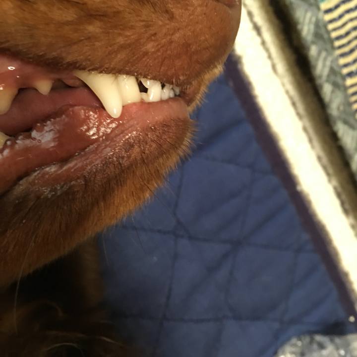 6b507c57 0d95 4393 a4fe 13c9723ded7c