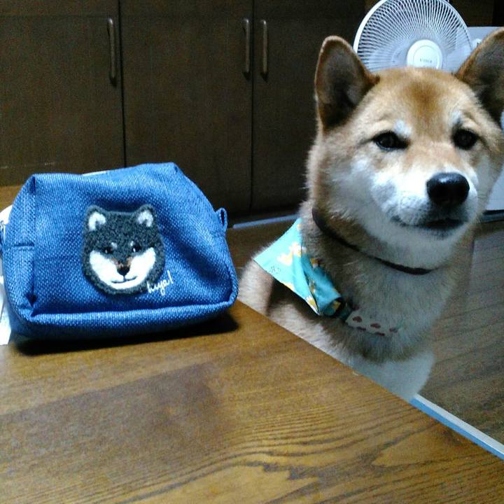 6b50df96 e376 47ad 935d 5f85a5a32301