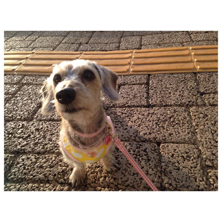 6b50fca1 12d1 47cf 9eab b025ee60ee3f