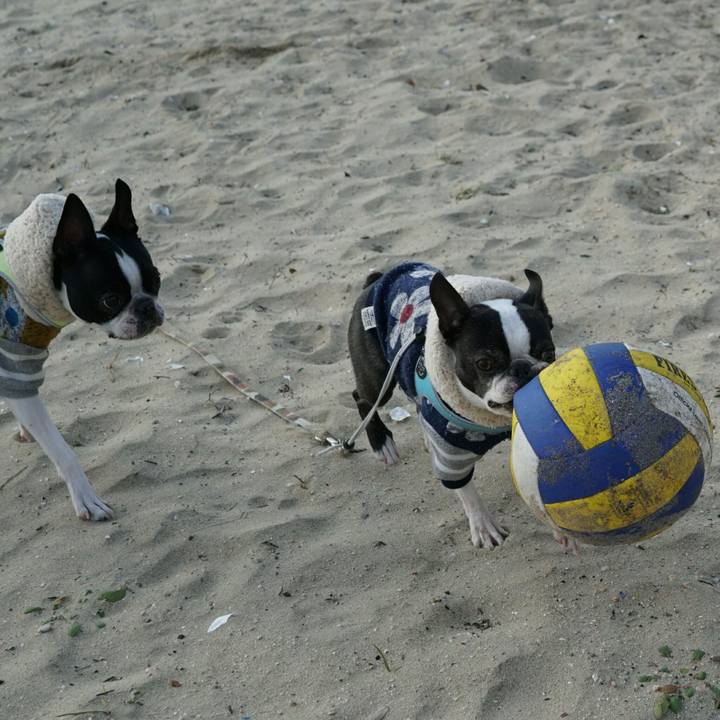 6b518762 239b 4f85 8096 ec74ec0620d6