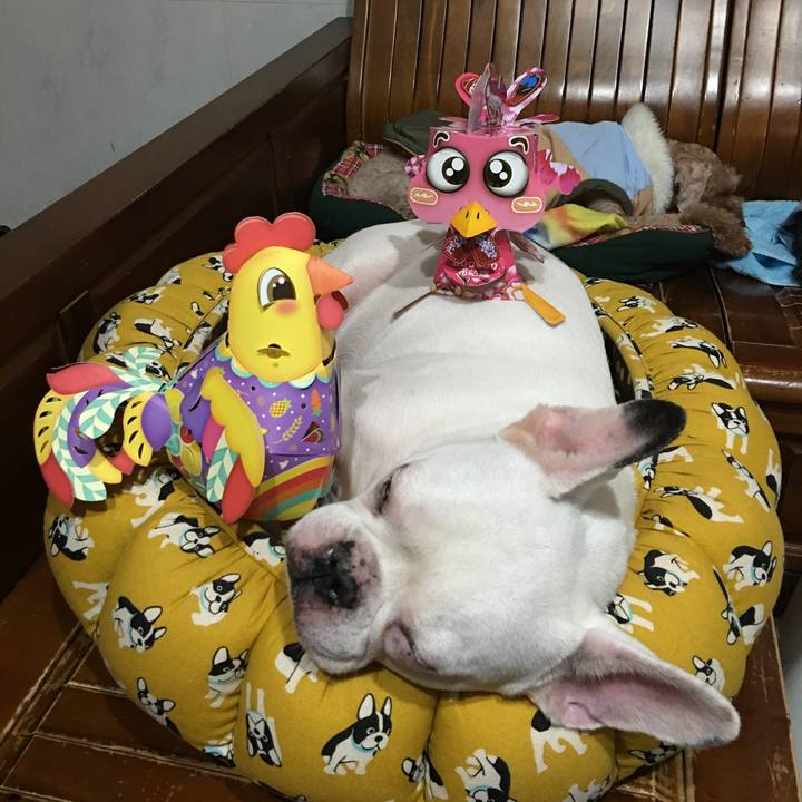 6b532abe 0884 4059 a8c3 3749c65c994a