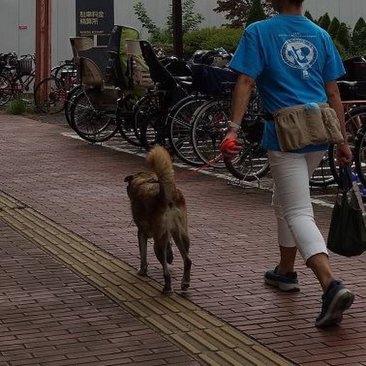 6b533506 71f9 4592 8bf9 57c86ce9a9c6