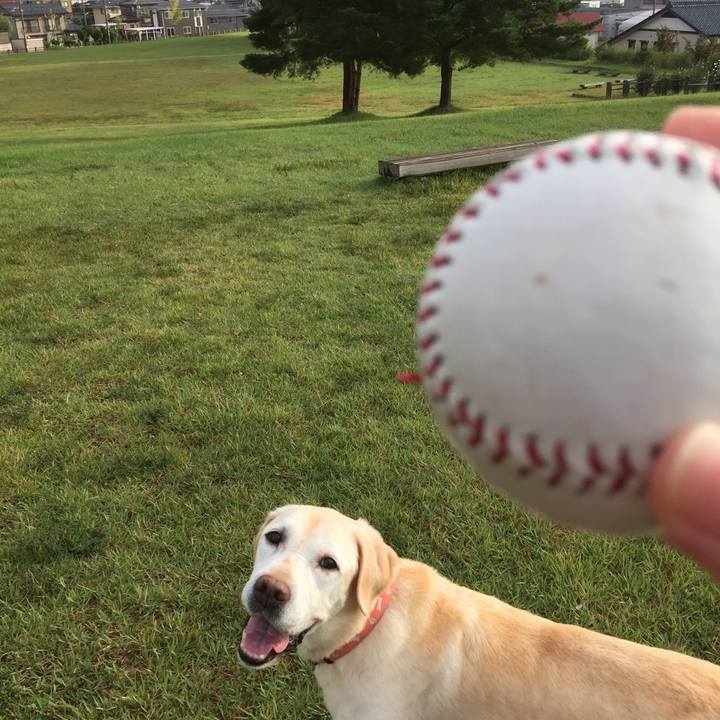 6b5370c6 e916 4ac9 a973 1230630c39d5