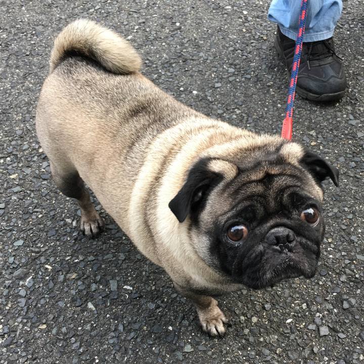 6b53a755 5173 4910 8ef9 19bff5491aab