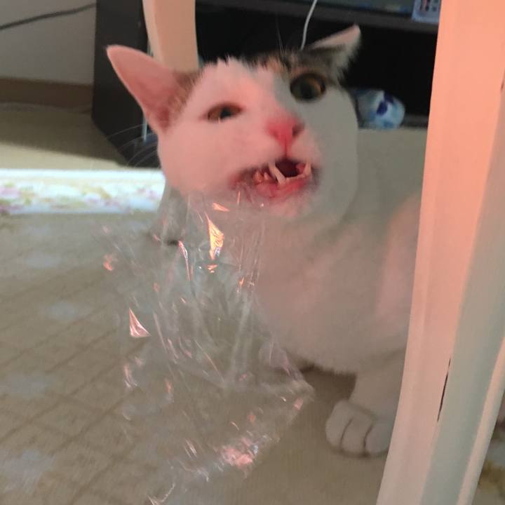 6b53acfc c254 47b3 8c43 7a6e679f7e54