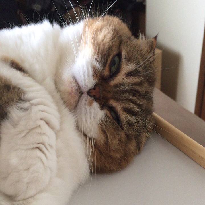 6b53cfbd 9c45 4f2c bcd0 f55e1141302a