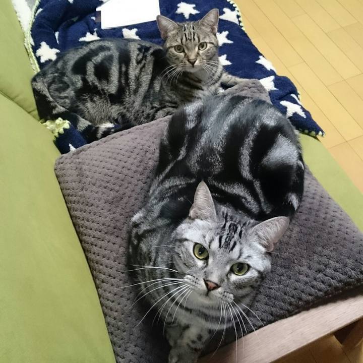 6b5442d5 8fa7 452b a9ee 779c916a69d9