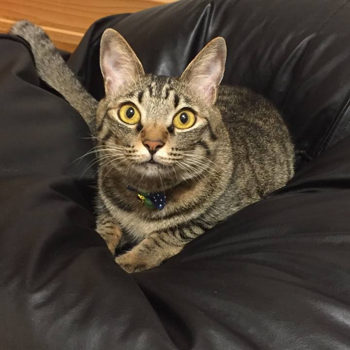 6b54470b 477c 4a3b b958 7625de2d169f