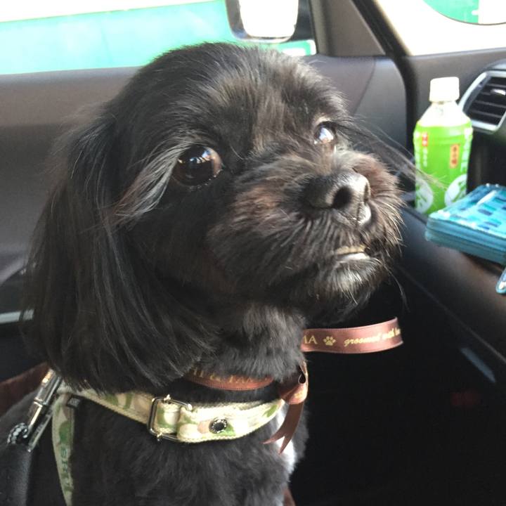 6b546828 ae71 4c47 843c e4e444d39aea