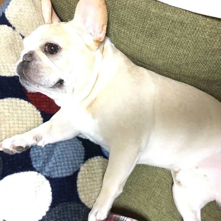 6b5581b8 0db2 4dde af16 34f30cbeaae0