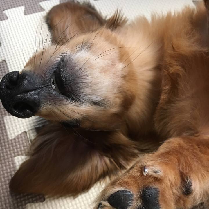 6b559757 4b62 4b29 a222 7462d1c621a0