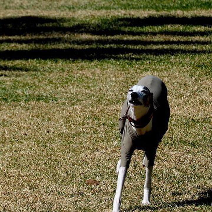 6b561b17 94f3 405c a4bf 04d5378f496f