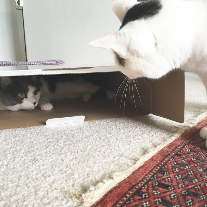 6b5638dc d120 4821 b0a6 84038a495ecc