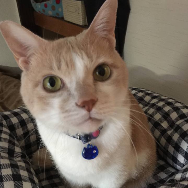 6b56a459 8fe9 4fce 8c92 f6376e82a9d8