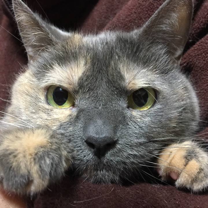 6b56acb6 66b2 4e99 94ba 1d39560c7d7c