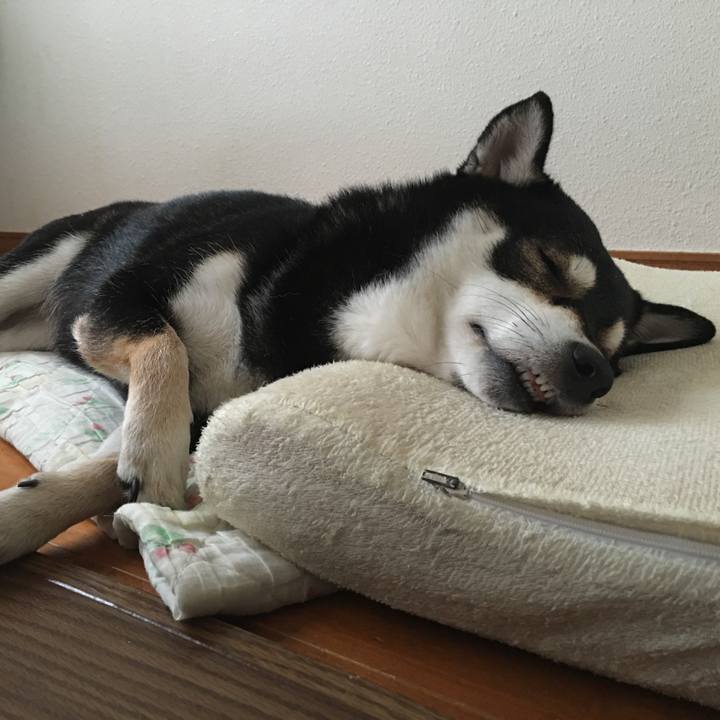 6b574f3e 89b2 4171 bd72 f50bc223a34b