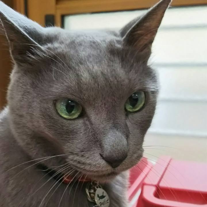 6b57601b 4b3d 4da3 b8dc d6424617e95e