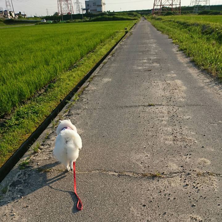 6b586212 d06e 4edd aa67 7c117a1e1778