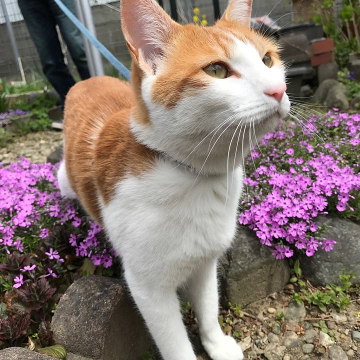 6b58ec20 1c63 46a0 bcfa 3219c17c2bb8