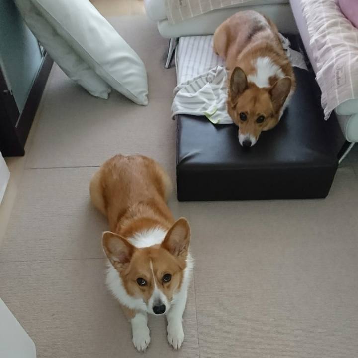 6b5a073d 074e 471c a0ac 4666a16ccf6a