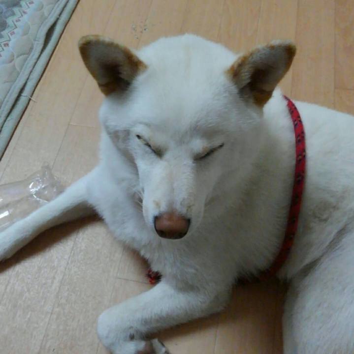 6b5bd8ec dd82 4080 a848 667f7a1feee1