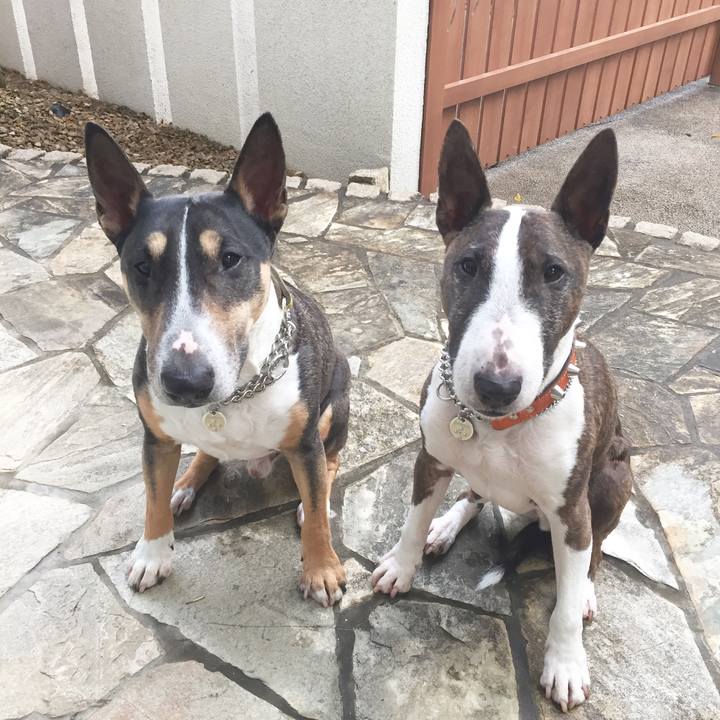 6b5bea78 89fa 4b38 88ba 50a3f7d99494