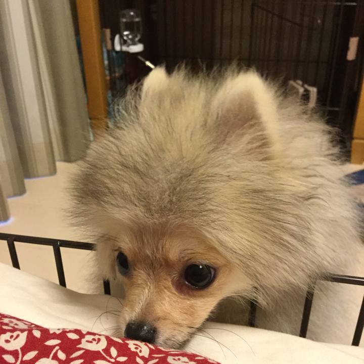 6b5c208b dfba 45cb bf5e 76a6c784ec25