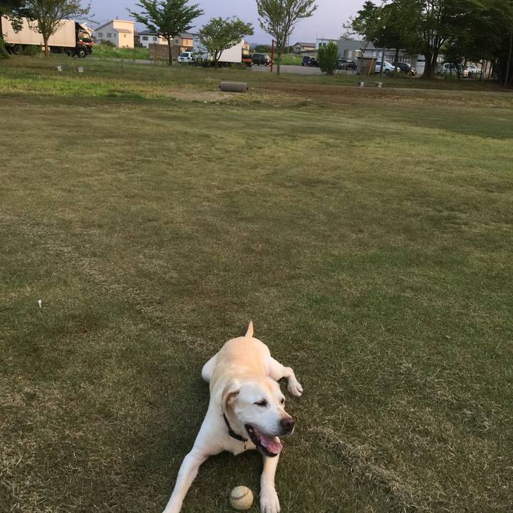 6b5c97f7 4436 4465 a156 2fad14750866