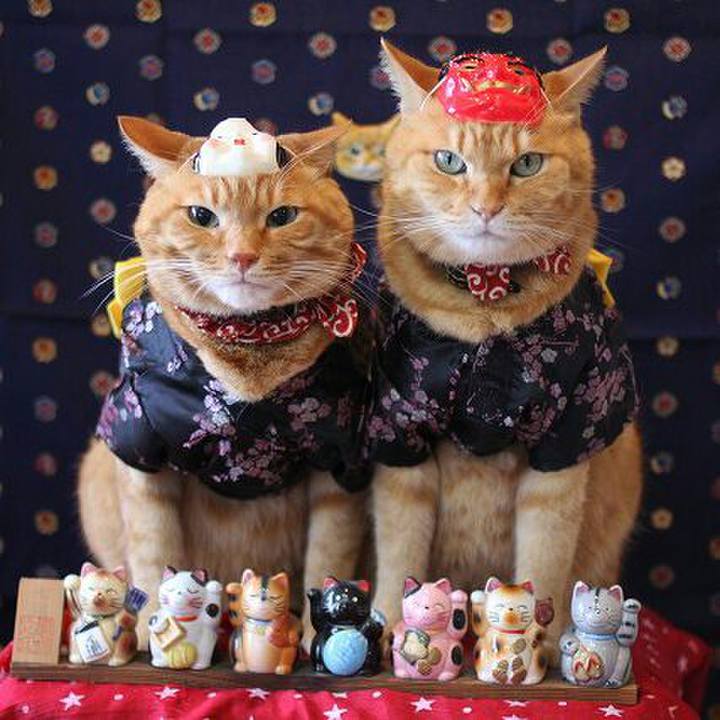 6b5cfd54 27f4 4500 995f 3c8c89fc515f