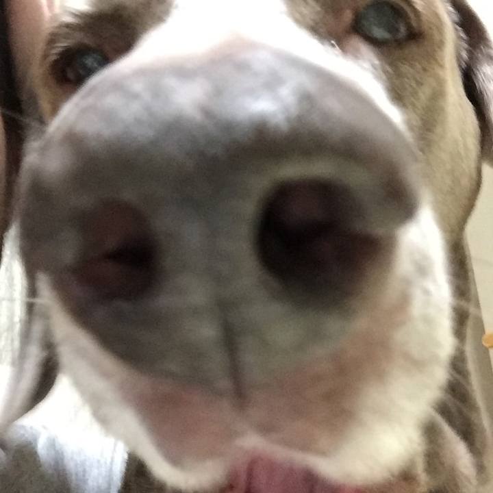 6b5d7de4 d24f 40d4 a9ae d3b85224951e