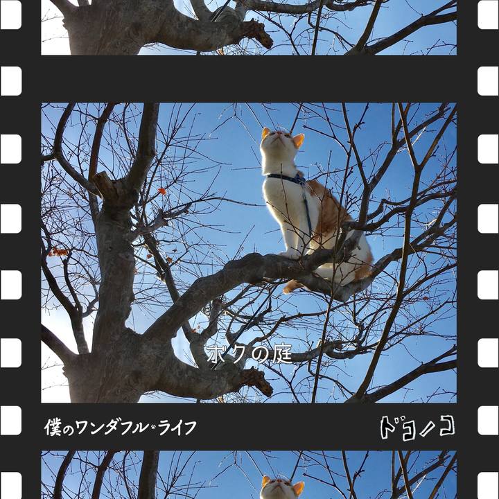 6b5dce72 0c2a 42b7 8ca7 6b147c883545