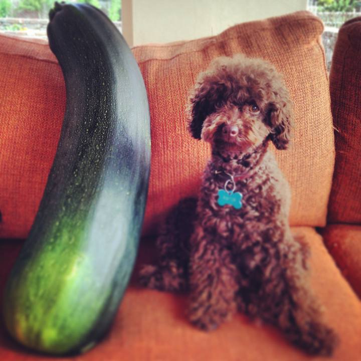 6b5de4da 33b4 4cd3 a5a0 9744caf82d8c