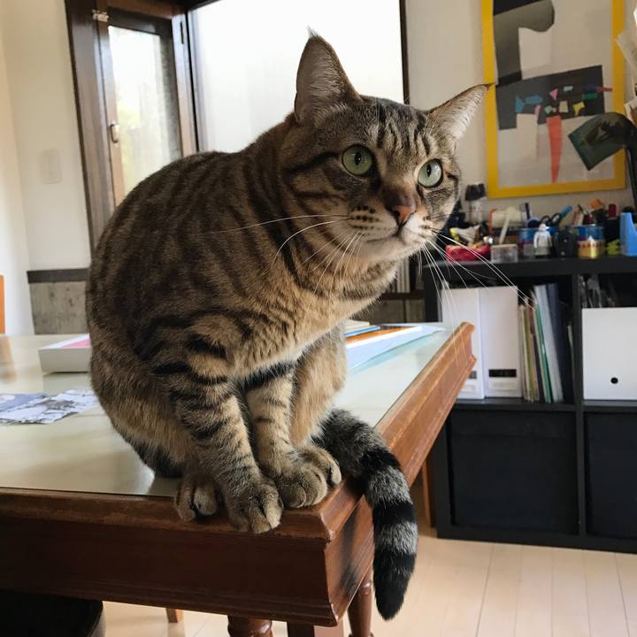 6b5ef8ab 139b 43ca 805a d2e7e76e5e20