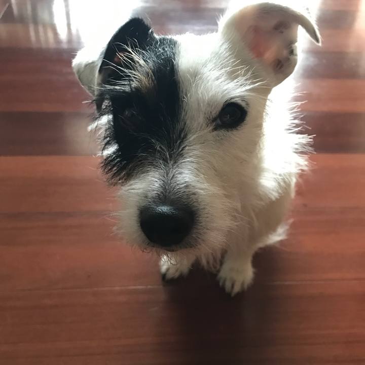 6b5f7f97 83a3 4e42 aad5 eb2fc6707c01