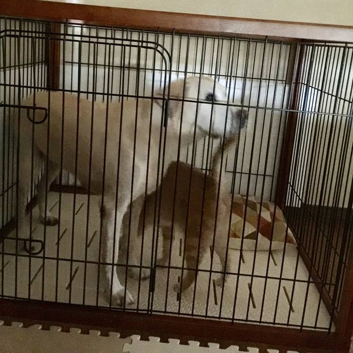 6b5fc062 e64c 45d9 b89f 59dce03abdb1