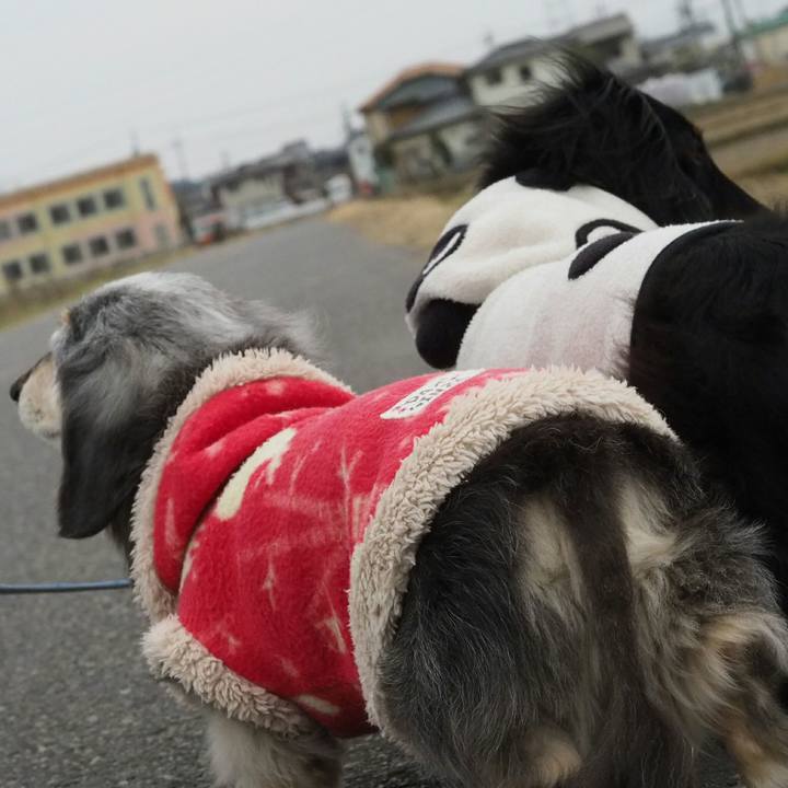 6b5fe82b bc53 4ea1 9fbe 60276b02ab4e