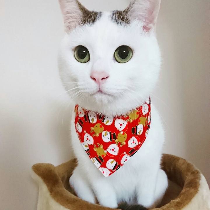 6b5fe882 9b9a 4edb 8eea d2ec55e0a838