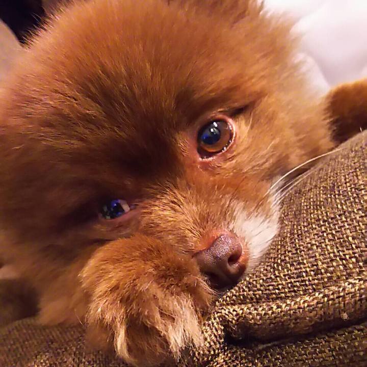 6b6049bc 4c1c 4010 86d0 d6dc0215b13e