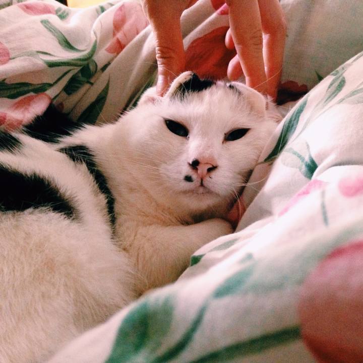 6b626f12 954e 4d02 8b34 3012714696bf