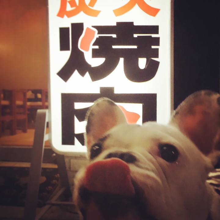 6b62885e 2d97 4f6a a823 6f7a120463be