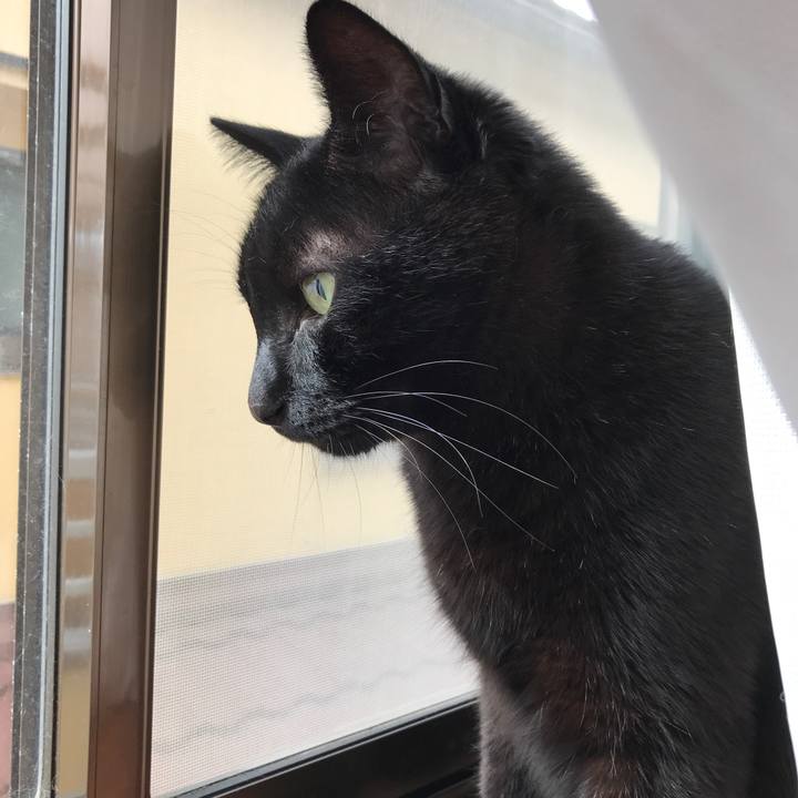 6b62a81c 74b6 4a47 ab89 826300d9510c