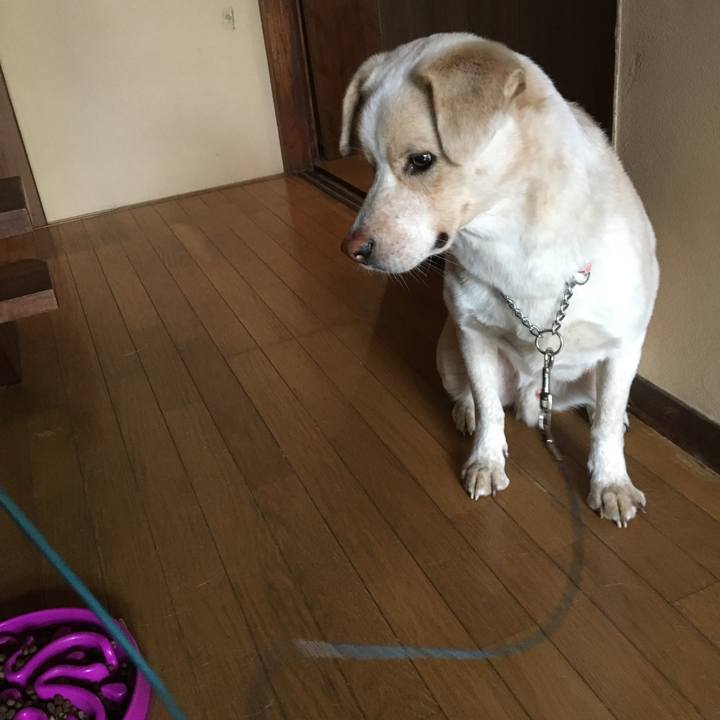 6b62b19e ec2a 452a 80cc cd2c314b7be9