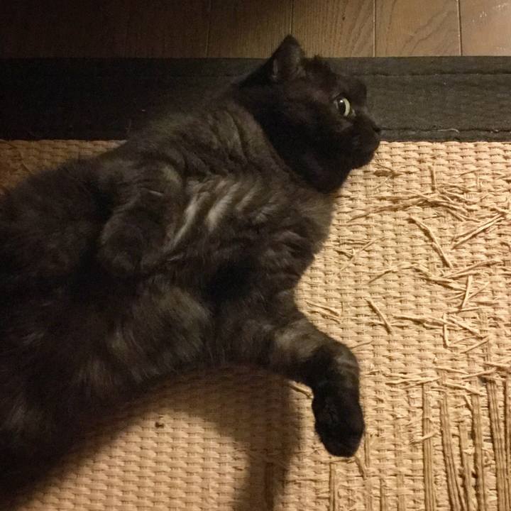 6b62d0e4 d0c6 4d55 9986 a1147c7b55b5