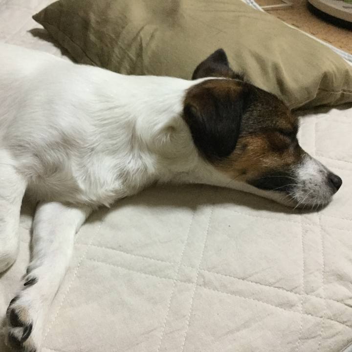 6b62e5c6 5c7c 41e8 90b0 8a514b5e809c