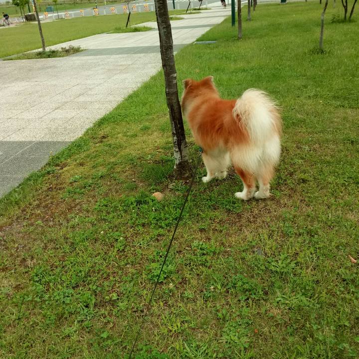 6b637e2a df3c 4b8c 915c 092193a8c462