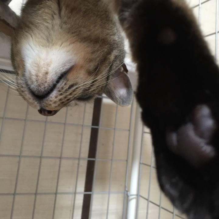 6b63b033 86e2 4d6b 8459 7a5cc7707029